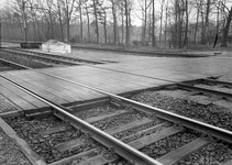 836116 Afbeelding van een spoorwegovergang met eikenhouten overwegbeplating te Wolfheze.
